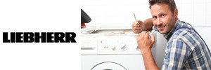 Reparacion de lavadoras, lavavajillas, frigorificos, secadoras, calderas, aire acondicionado, cocinas